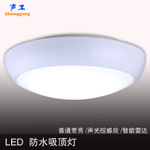 ceiling-mounted luminaire