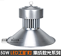 50W LED integrated stray light