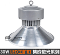 30W LED integrated stray light