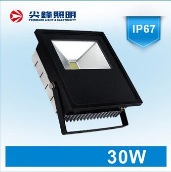 Bay Light, Outdoor Lighting,30W, Prevention