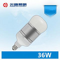 LED Bulb, 36W