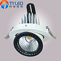 Spot Light, Commercial Lighting, LED, COB, 30W