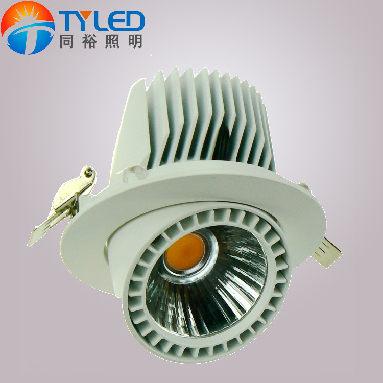 Down Lamp, Commercial Lighting, LED, COB, 20W, Hotel, Clothing Store