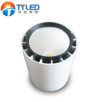 Down Lamp, Commercial Lighting, LED, COB, 40W, High Grade, Open Installation