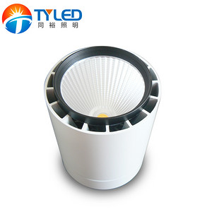 Down Lamp, Commercial Lighting, LED, COB, 40W, High Grade, Open Installation