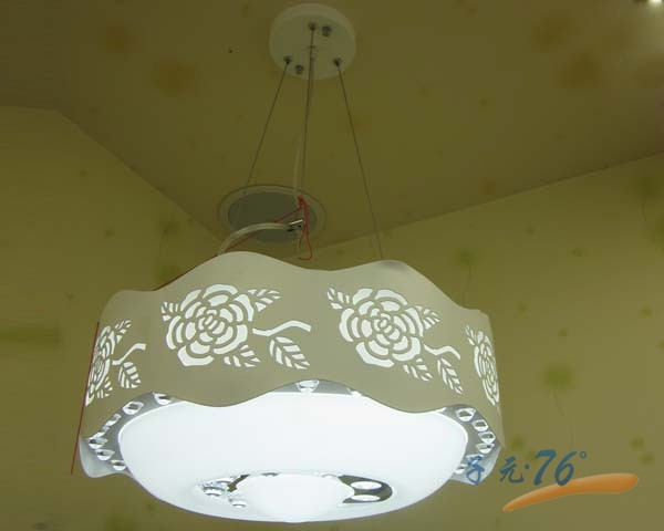 Dining lamp,Household Lighting,Grace，Hollow，Flowers