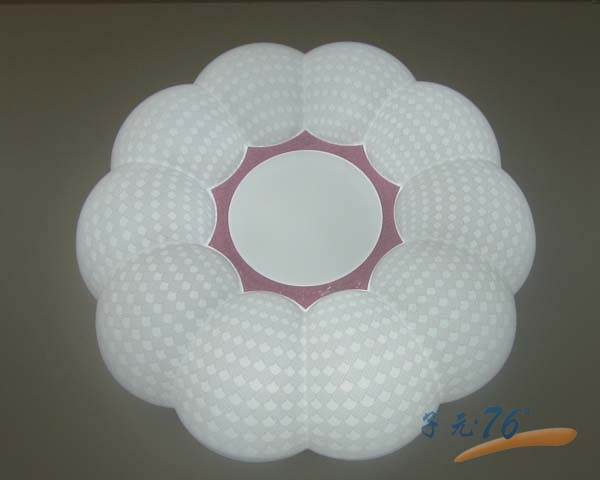 Ceiling lamp,Household Lighting,bathroom,grace,Peacock Pink