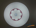 Ceiling lamp,Household Lighting,LED,bedroom,circular,Plum powder