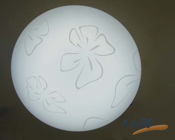 Ceiling lamp,Household Lighting,Kitchen,Comfortable,Craft flower