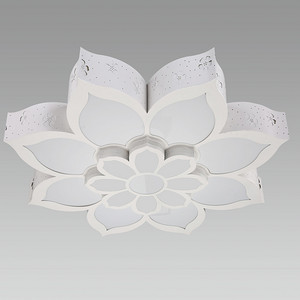 Ceiling Lamp,Household Lighting,Bedroom,White,108W