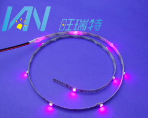 LED Strip Light,LED Lighting & Technology,With LED Source