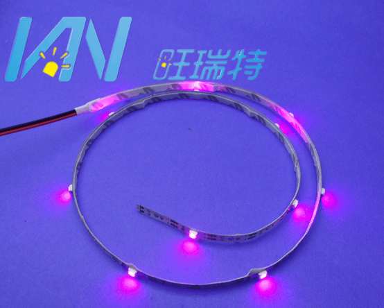 LED Strip Light,LED Lighting & Technology,With LED Source