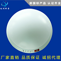 Emergency Light,Commercial Lighting,Fire emergency,Ceiling lamp