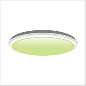 Ceiling Lamp,Household Lighting,Intelligent