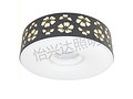 Ceiling Lamp,Household Lighting,Bedroom,Flower,Fashion,12W,18W,24W,28W