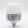 LED Bulb