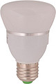 LED Bulb,LED Lighting & Technology,Flat Head,8W