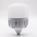 LED Bulb,LED Lighting & Technology,Φ135,White