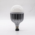 LED Bulb,LED Lighting & Technology,Cage-model,60W