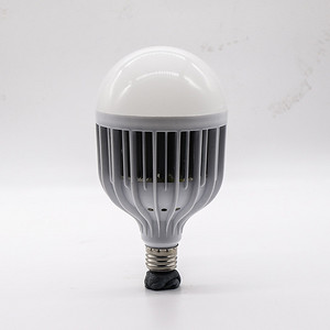 LED Bulb,LED Lighting & Technology,Cage-model,60W