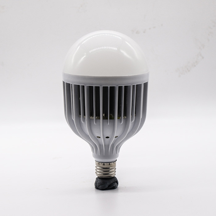 LED Bulb,LED Lighting & Technology,Cage-model,60W