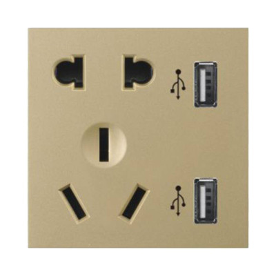 Socket,Electrical & Electronic Product,Five Holes,With USB,Champagne Gold