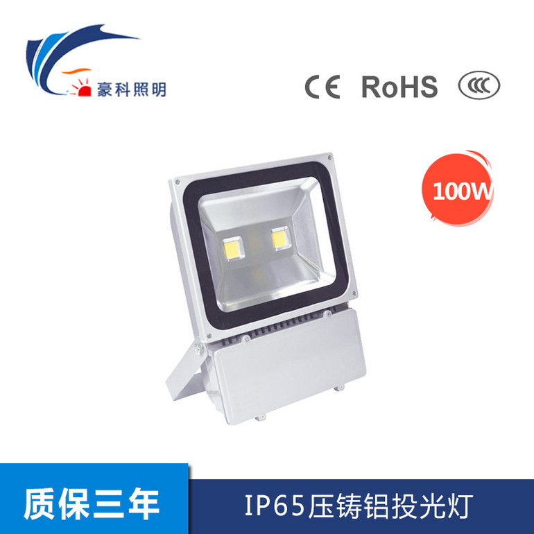 Floodlight,Outdoor Lighting,Die-casting Aluminum,100W