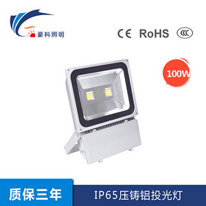 Floodlight,Outdoor Lighting,Die-casting Aluminum,100W