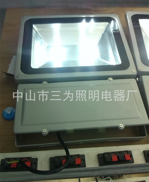 Floodlight,Outdoor Lighting,Tunnel Lamp,COB,100W