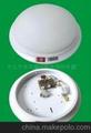 Emergency Light,Commercial Lighting,Ceiling Lamp,White Light