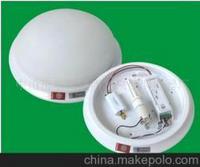 Emergency Light,Commercial Lighting,Ceiling Lamp,MLL-317