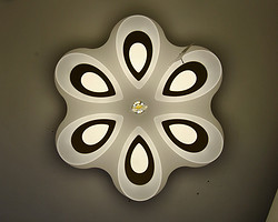 Ceiling Lamp,Household Lighting,Kongqueling_1