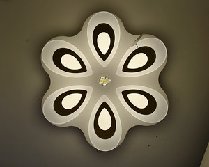 Ceiling Lamp,Household Lighting,Kongqueling_1