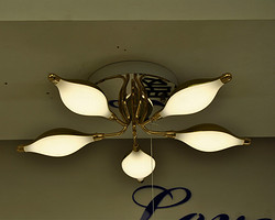 Chandelier,Decorative Lighting,Feisuan2_1