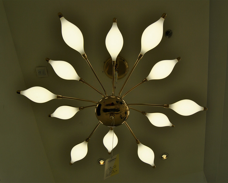 Chandelier,Decorative Lighting,Feisuo1_1