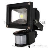 Floodlight,Outdoor Lighting,Infrared Induction,10W