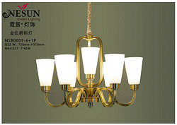 Chandelier,Decorative Lighting,NS80009-6 1P