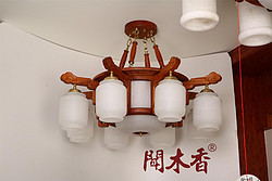 Chandelier,Decorative Lighting,MD8028-8+1