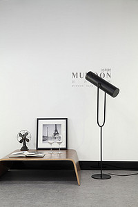 Floor Lamp,Decorative Lighting, MYL019S-1