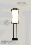 Floor Lamp,Decorative Lighting, ML70258-2