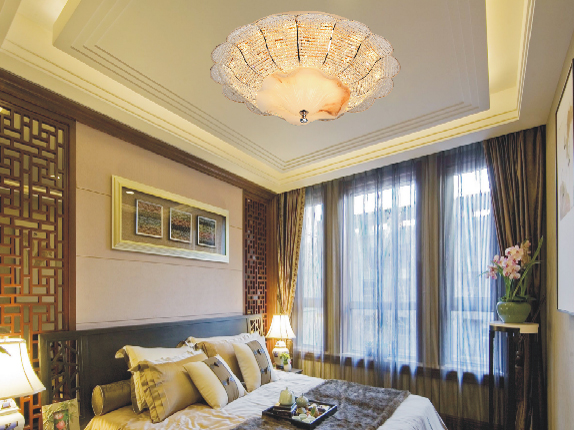 Ceiling Lamp,Household Lighting,C005