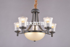 Chandelier,Decorative Lighting,2317-5
