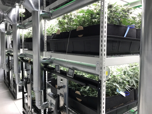 Horticultural LED System