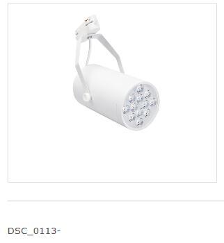 White,Track Lamp