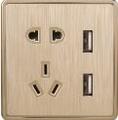 Champange Gold,Switch,Socket