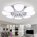 modern,Acrylic,crystal,indoor,Flower type,white,Ceiling lamp