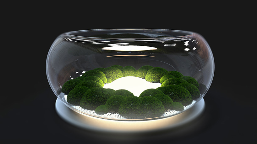 chandelier vuckovic's mosslamp fuses electronics with nature to effuse a sense of calm