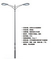 street lamp,outdoor lighting,LED,two head