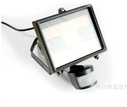 Modern, Simple, LED, 10W, Induction Floodlight