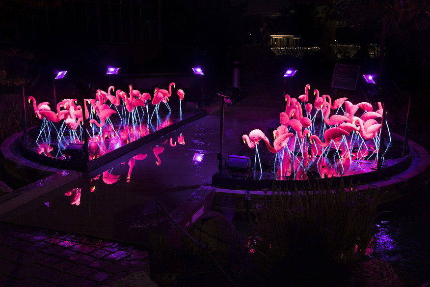 The Bruce Munro's special location